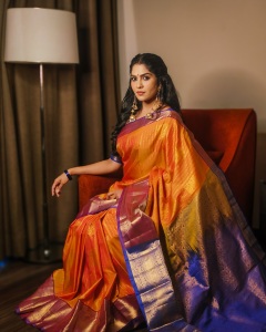 swasika-in-saree-with-blouse-style-ideas-photos-005