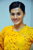 taapsee-pannu-pictures-30070
