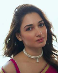tamanna-bhatia-in-pink-chiffon-saree-photos-004