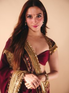 tamanna-in-saree-with-sweetheart-neckline-bustier-blouse-with-decorative-gold-straps-style-ideas-photos-005