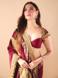 tamanna-in-saree-with-sweetheart-neckline-bustier-blouse-with-decorative-gold-straps-style-ideas-photos-007