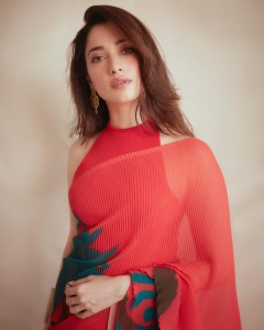 tamannaah-bhatia-photo-gallery-new-006