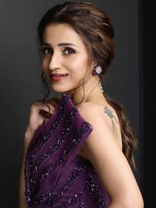 actress-trisha-in-violet-gown-photos