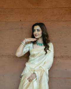 actress-trisha-krishnan-in-party-styling-ideas-photos-006