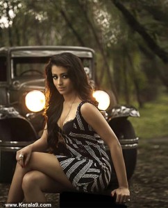 trisha-krishnan-pics86