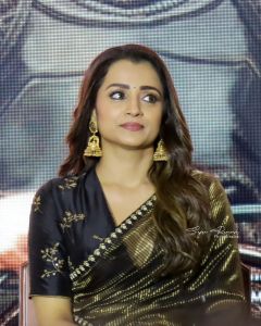 trisha-krishnan-ps1-promotion-photos-006