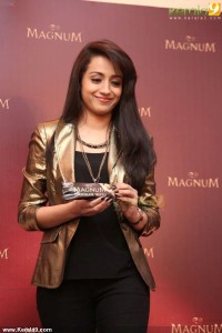 trisha-krishnan-stills-00315