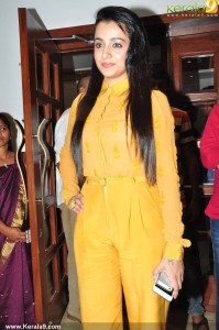 trisha-latest-photo-gallery-00423