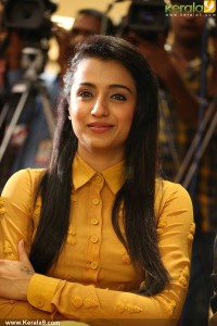 trisha-latest-photos-01643