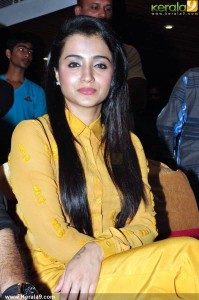 trisha-latest-photos-02540
