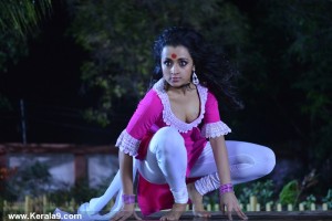 trisha-latest-pics-112-00289