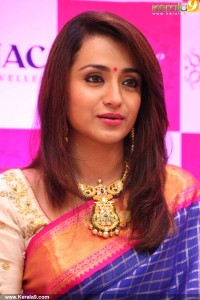 trisha-latest-pics-20045