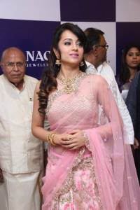 trisha-latest-pics00-0094