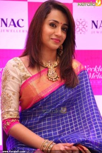 trisha-latest-pictures-30075
