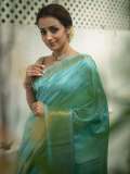 trisha-krishnan-outfit-photos-in-cm-function-005