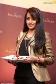 trisha-krishnan-images-00410
