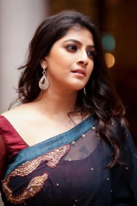 varalakshmi-sarathkumar-saree-photos-0912-196