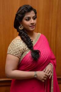 varalaxmi-sarathkumar-stills-gallery-10299