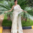 actress-vedhika-in-saree-005