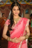 Vedhika Hot in Saree Stills