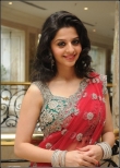 Vedhika Hot in Saree Stills