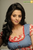 vedhika-latest-photos-01234