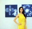 vedhika-latest-photos-093-00112