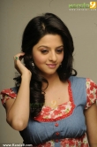 vedhika-latest-pics-00296