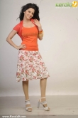 vedhika-latest-stills-00291