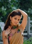vedhika-photos-02536