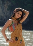 vedhika-photos-02622
