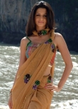 vedhika-photos-02772