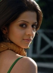 vedhika-photos-03063
