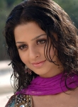 vedhika-photos-03362