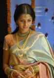 Vedhika Hot in Saree Stills