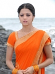Vedhika Hot in Saree Stills