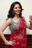Vedhika Hot in Saree Stills