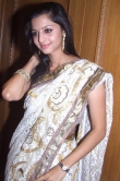 Vedhika Hot in Saree Stills
