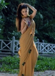 Vedhika Hot in Saree Stills