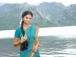 Vedhika Hot in Saree Stills