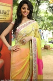 vedika-latest-photoshoot-00293