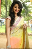 vedika-new-stills-00118
