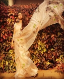 vedika-saree-photos-001