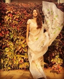 vedika-saree-photos