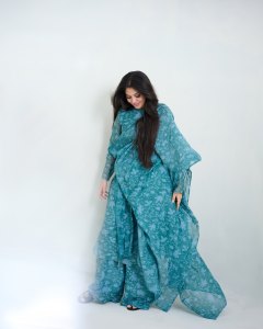 veena-nandakumar-in-light-blue-long-dress-design-ideas-images-002