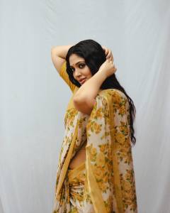 veena-nandakumar-in-saree-photos-004