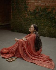 veena-nandakumar-photos-in-saree-001