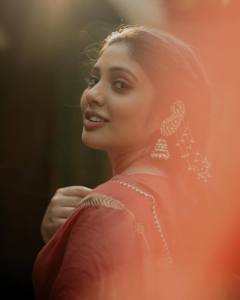 veena-nandakumar-photos-in-saree-003