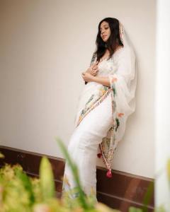 veena-nandakumar-photos-in-saree-007
