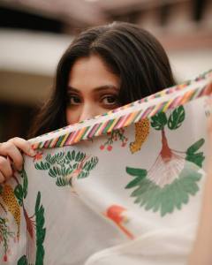 veena-nandakumar-photos-in-saree-008
